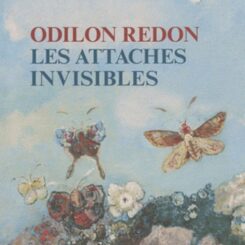ODILON REDON LES ATTACHES INVISIBLES