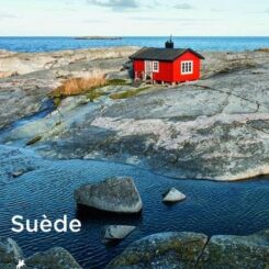 SUEDE