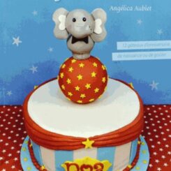 MES GATEAUX DECORES