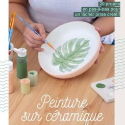 PEINTURE SUR CERAMIQUE - 20 PROJETS EN PAS-A-PAS POUR UN LACHER PRISE CREATIF