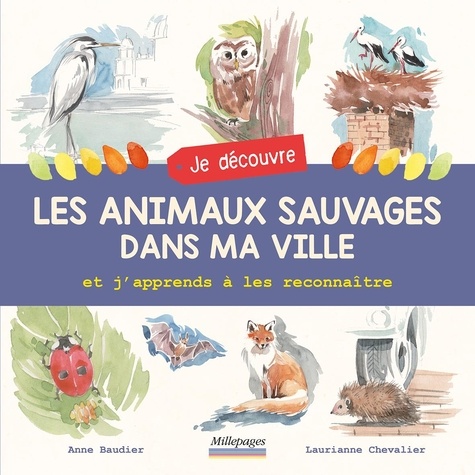 LES ANIMAUX SAUVAGES DANS MA VILLE - ET J'APPRENDS A LES RECONNAITRE