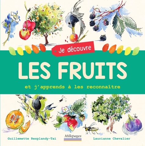LES FRUITS - ET J'APPRENDS A LES RECONNAITRE