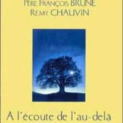 A L'ECOUTE DE L'AU DELA