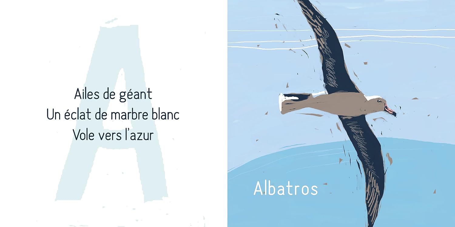 HAIKUS DES ANIMAUX – Image 3
