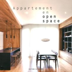 APPARTEMENT EN OPEN SPACE