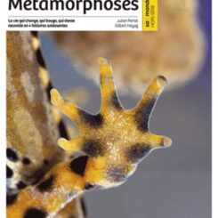 METAMORPHOSES HORS-SERIE