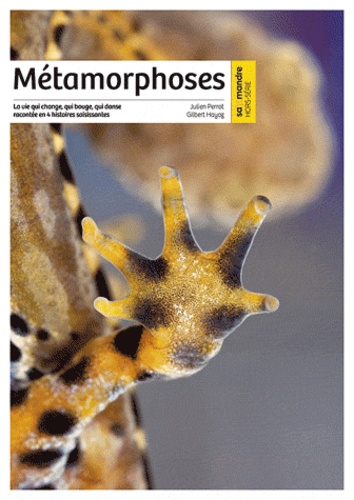 METAMORPHOSES HORS-SERIE