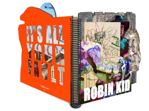 ROBIN KID : IT'S ALL YOUR FAULT