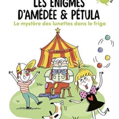 LES ENIGMES D'AMEDEE ET PETULA - T2 - LE MYSTERE DES LUNETTES DANS LE FRIGO