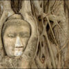 THAILANDE, UN GOUT DE PARADIS – Image 2