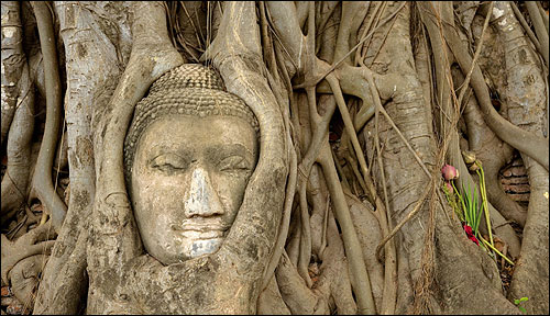 THAILANDE, UN GOUT DE PARADIS – Image 2