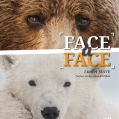 FACE A FACE