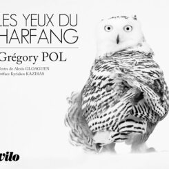 LES YEUX DU HARFANG